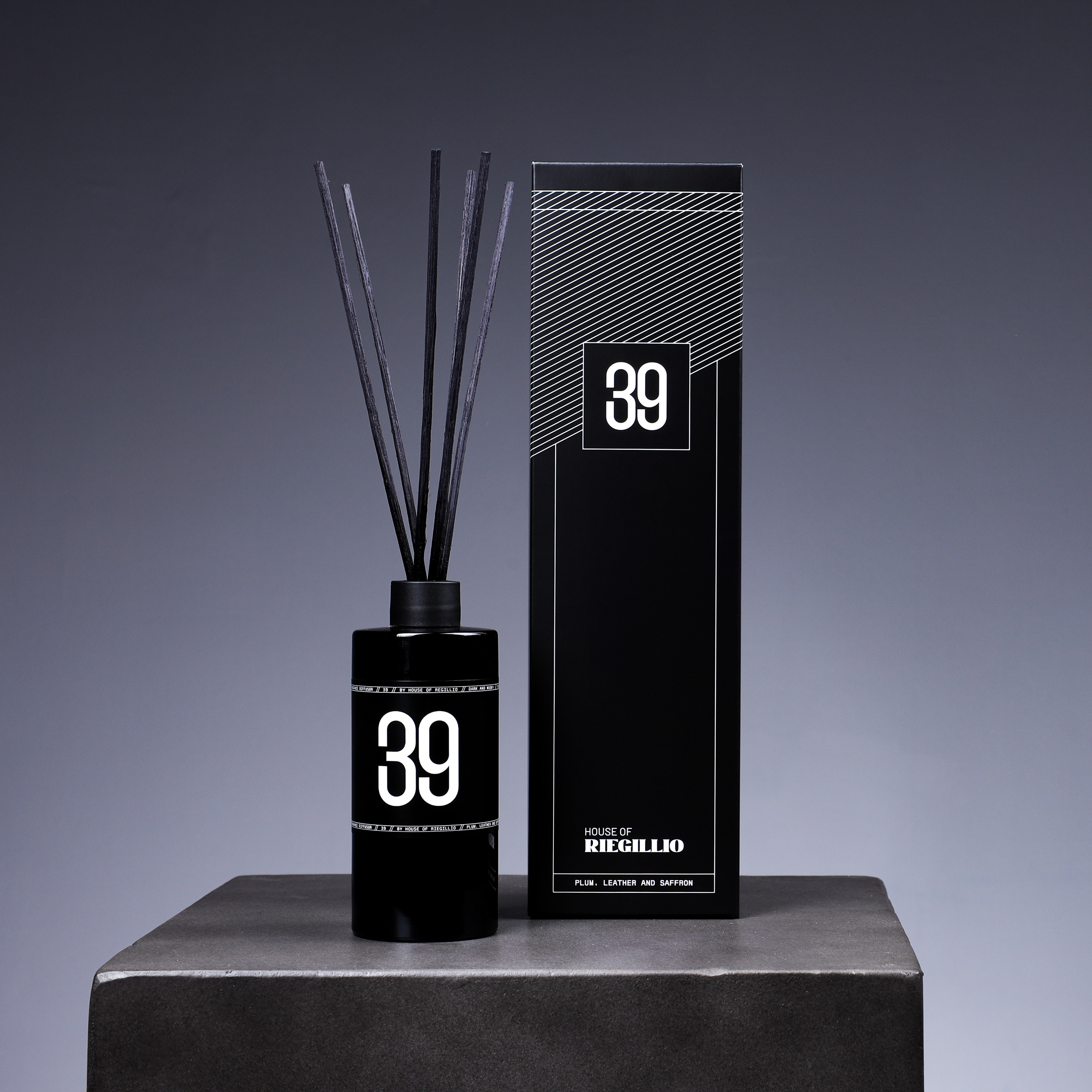 House of Riegillio interior shot 2