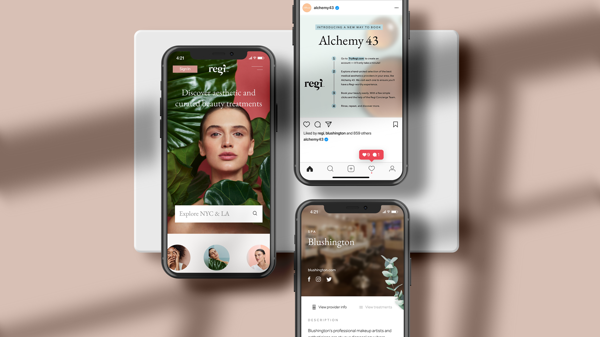 Regi app interface header