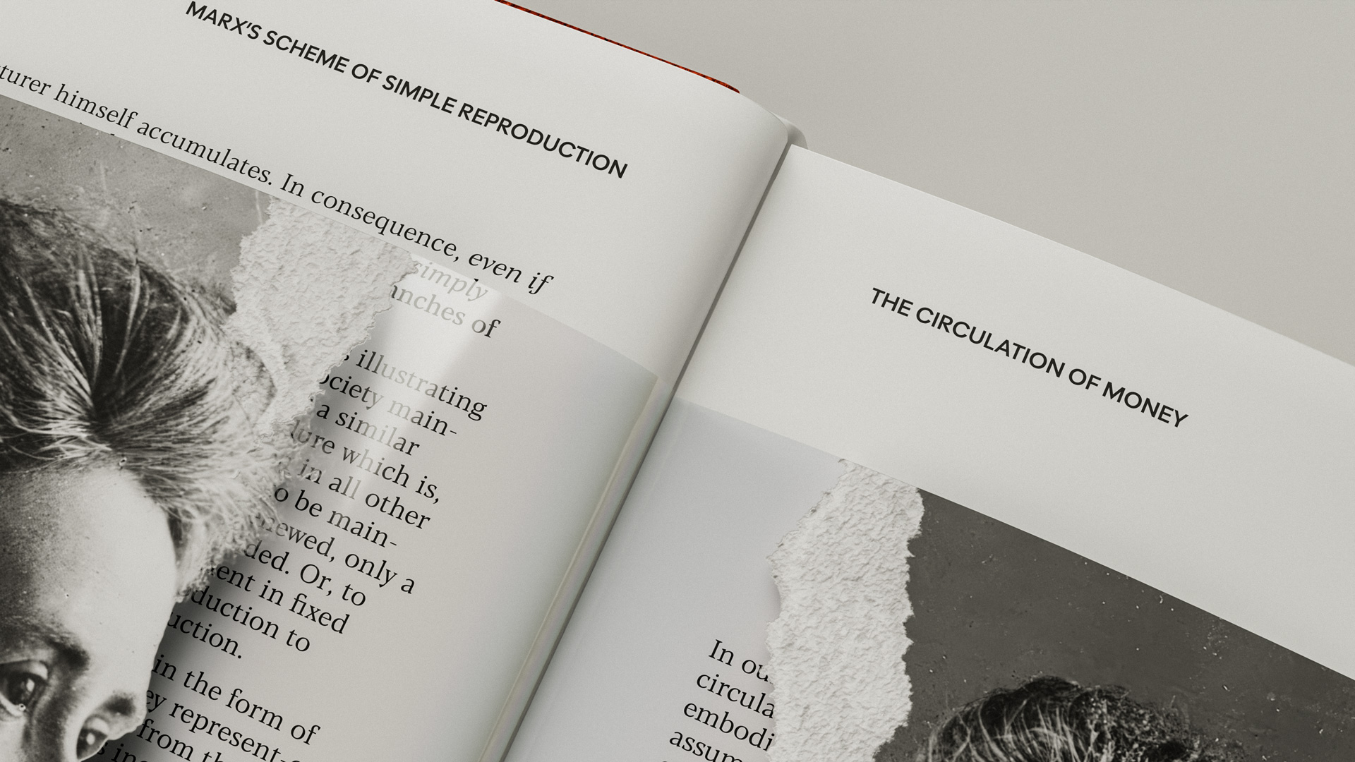 Rosa Luxemburg book cover close-up