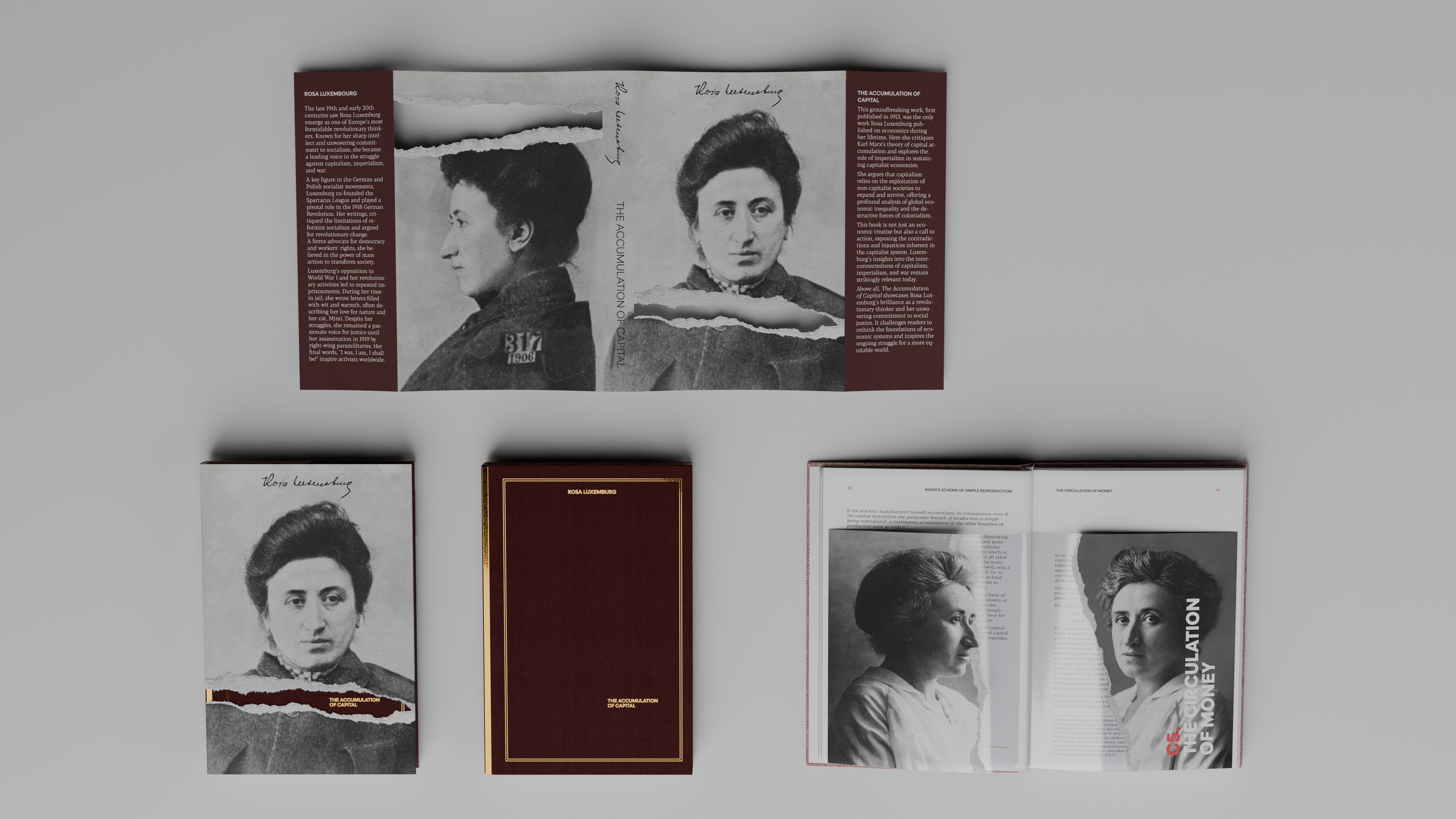 Rosa Luxemburg book cover overview