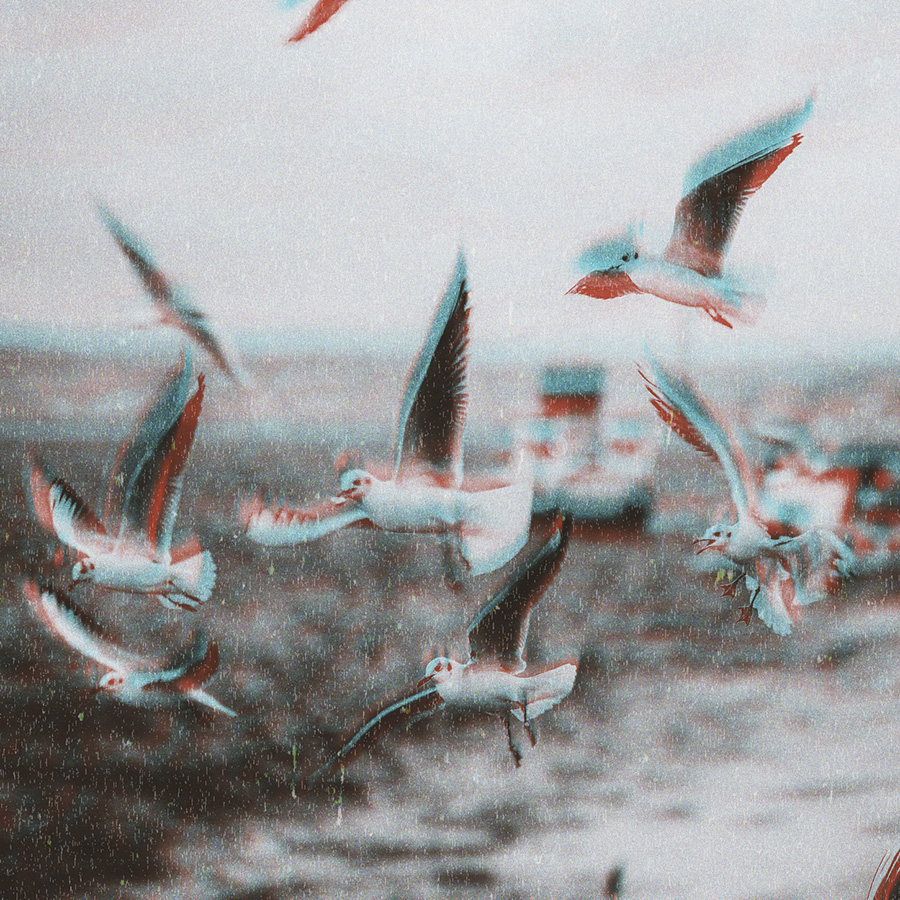Multiple seagulls flying over the water with a blurred boat in the background.