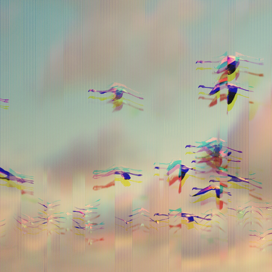 Abstract multicolored artistic representation of flying flamingos with layered, glitch-like effects on a soft pastel sky background.