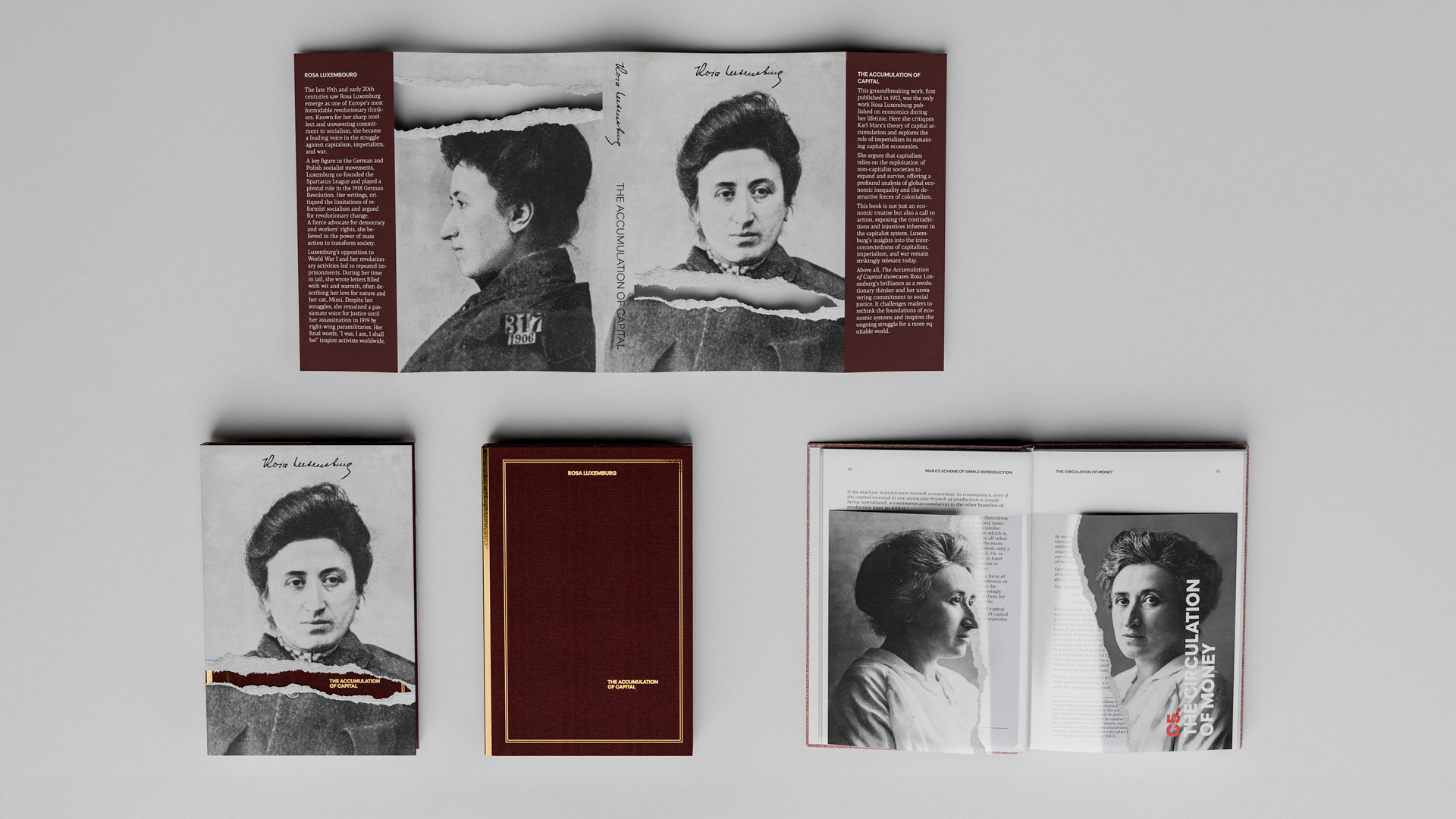 Book titled 'The Accumulation of Capital' by Rosa Luxemburg shown as a cover, jacket, and open pages featuring black-and-white portraits of Luxemburg.